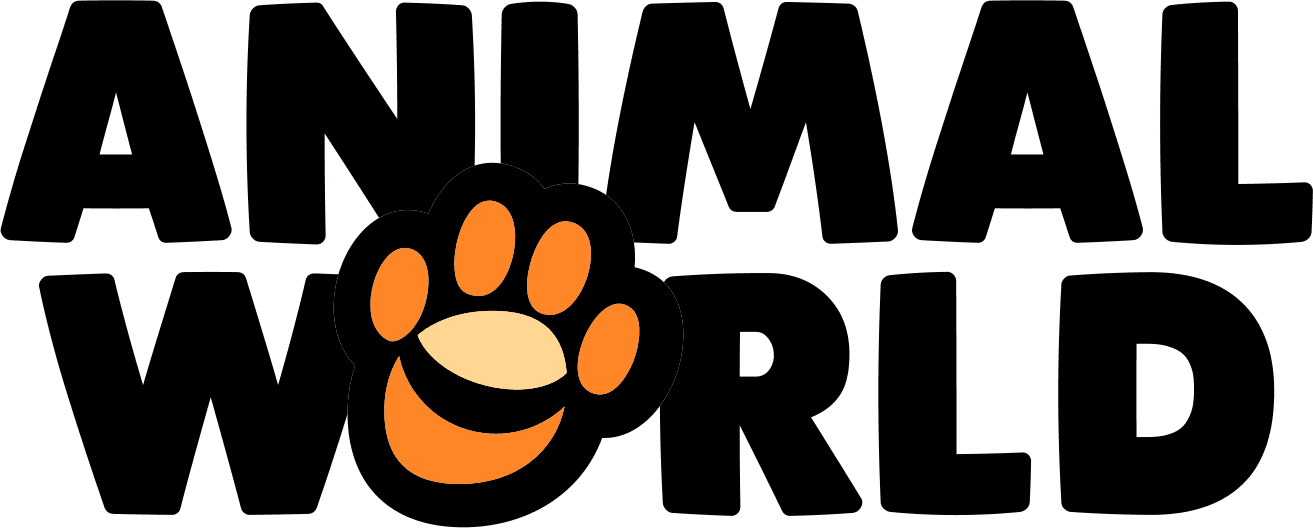 Animal World